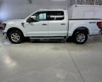 Image #4 of 2025 Ford F-150 XLT