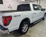 Image #7 of 2025 Ford F-150 XLT